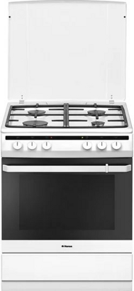 Плита Hansa FCMW68020 газ-элект